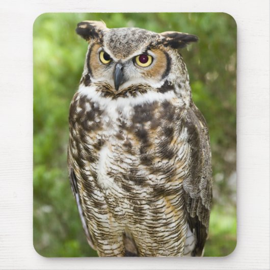 アメリカワシミミズク マウスパッド (正面)