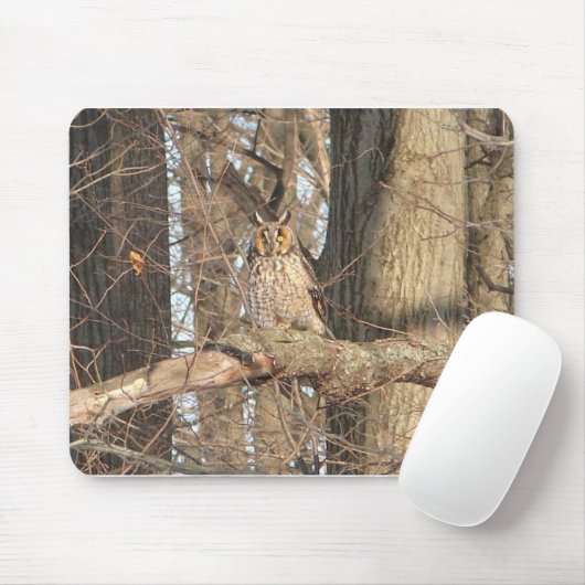 アメリカワシミミズク マウスパッド (マウス)