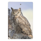 アメリカワシミミズク-小型クリップボード見ます ミニクリップボード (裏面)