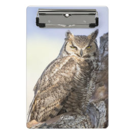 アメリカワシミミズク-小型クリップボード見ます ミニクリップボード