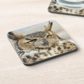 アメリカワシミミズク(Buboのvirginianus) コースター (左側)