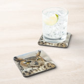 アメリカワシミミズク(Buboのvirginianus) コースター (右側)