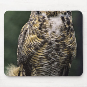 アメリカワシミミズク (Bubo virginianus) フルボディ マウスパッド