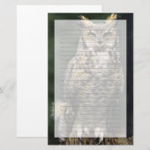 アメリカワシミミズク (Bubo virginianus) フルボディ 便箋 (正面/裏面)