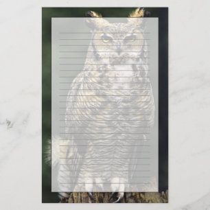 アメリカワシミミズク (Bubo virginianus) フルボディ 便箋