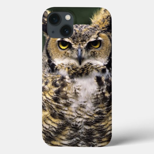 アメリカワシミミズク (Bubo virginianus) フルボディ Case-Mate iPhoneケース (裏面)
