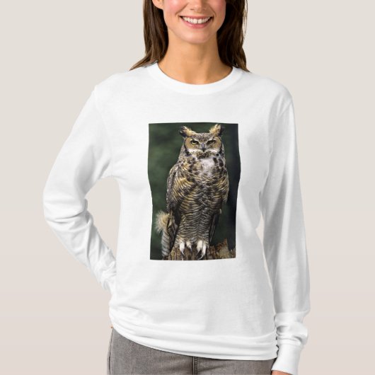 アメリカワシミミズク (Bubo virginianus) フルボディ Tシャツ (正面)