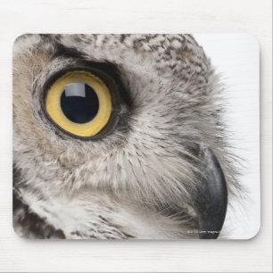 アメリカワシミミズク- Bubo Virginianus Subarcticus マウスパッド