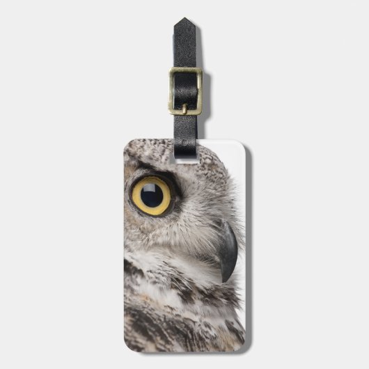 アメリカワシミミズク- Bubo Virginianus Subarcticus ラゲッジタグ (正面縦)