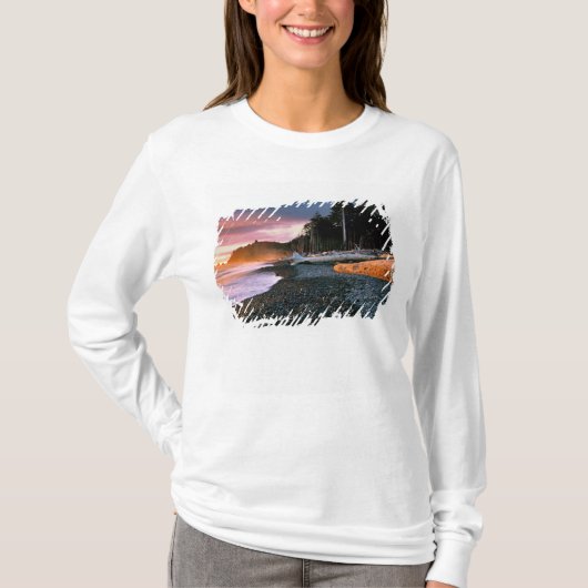 アメリカワシントン州オリンピックNP波が Tシャツ (正面)