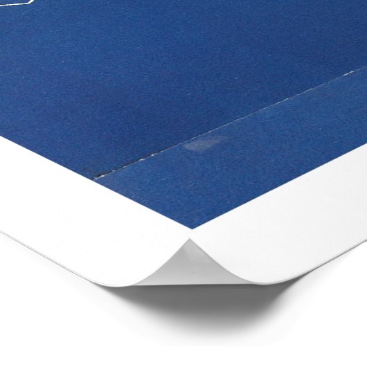 アメリカワシ ポスター (角)