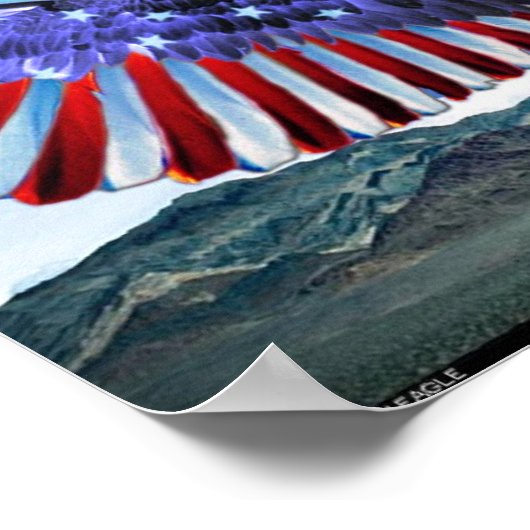 アメリカワシ ポスター (角)