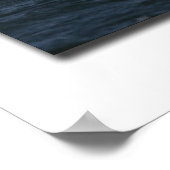 アメリカワシ ポスター (角)