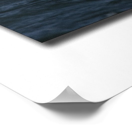 アメリカワシ ポスター (角)