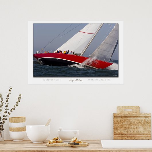 アメリカワシ ポスター (キッチン)