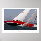 アメリカワシ ポスター (正面)