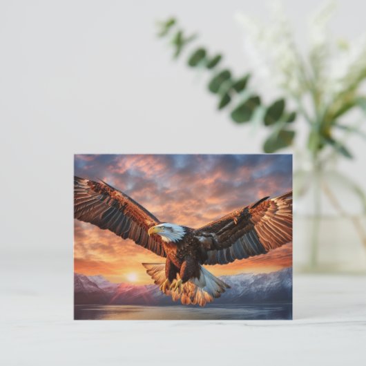 アメリカワシ ポストカード (スタンド正面)