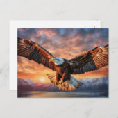 アメリカワシ ポストカード (正面/裏面)