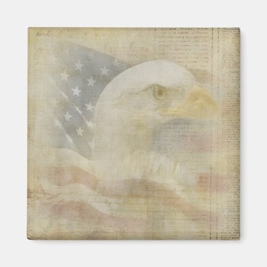 アメリカワシ マグネット (正面)