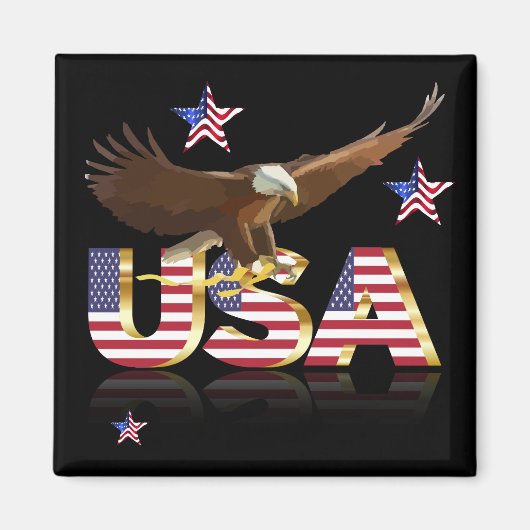 アメリカワシ マグネット (正面)
