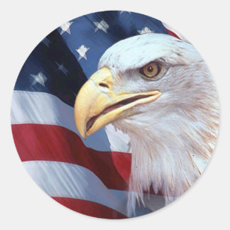 アメリカワシ ラウンドシール
