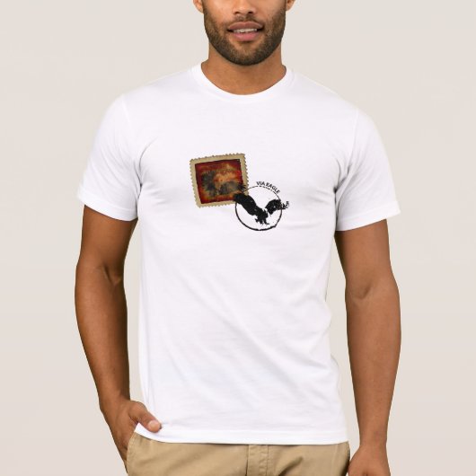アメリカワシTシャツ Tシャツ (正面)