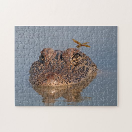 アメリカワニとトンボ – ワイルドライフフォト ジグソーパズル (横)