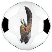 アメリカワニ – フロリダ野生生物 サッカーボール (回転)