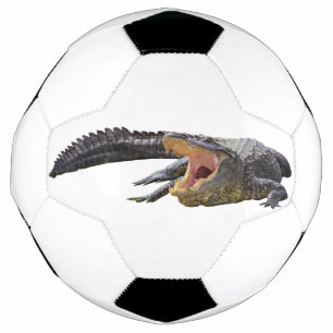 アメリカワニ – フロリダ野生生物 サッカーボール