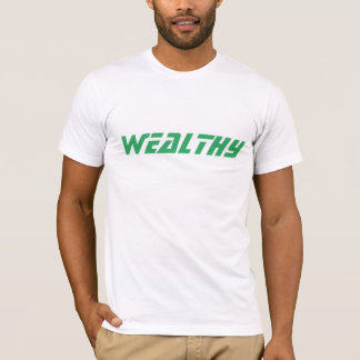 アメリカンアパレル ウェルシーTシャツ Tシャツ