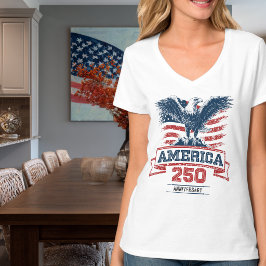 アメリカンイーグルがデザインされた愛国心あふれる250周年記念Tシャツ Tシャツ