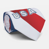 アメリカンイーグル ネクタイ (ロール)