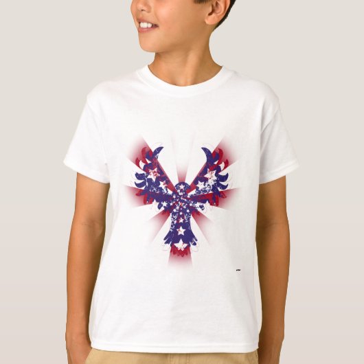 アメリカンイーグル 星条旗 Tシャツ (正面)