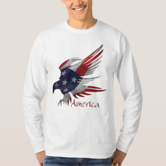 アメリカンイーグルM長袖Tシャツ Tシャツ