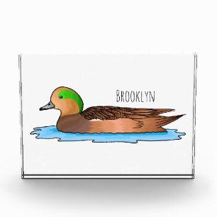 アメリカンウィグオン鳥の漫画イラストレーション フォトブロック