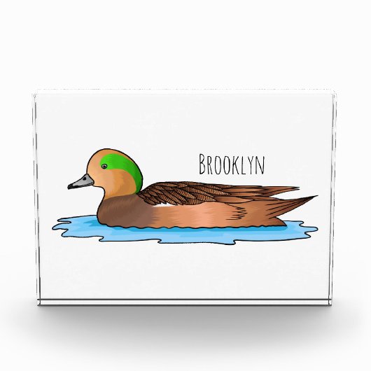 アメリカンウィグオン鳥の漫画イラストレーション フォトブロック (正面)