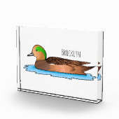 アメリカンウィグオン鳥の漫画イラストレーション フォトブロック (右)