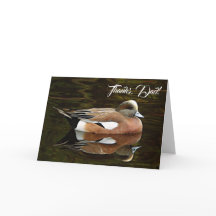 アメリカンウィジェンの自然写真 父の日