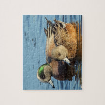 アメリカンウィドジョンダックス（ドレイクとヘン）