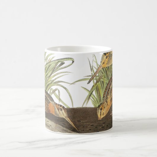 アメリカンウッドコックバイオードボンコーヒーマグ コーヒーマグカップ (中央)