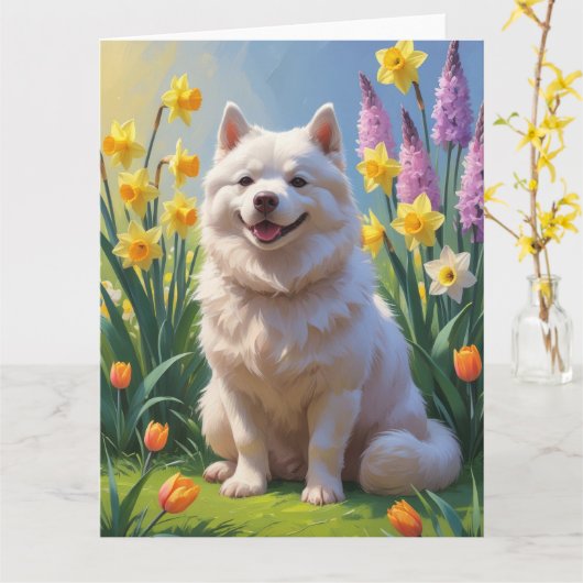 アメリカンエスキモー犬の春の花の絵 カード (黄色い花)
