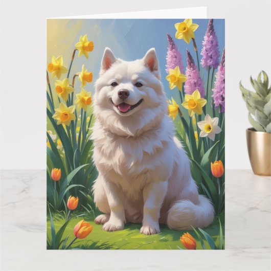 アメリカンエスキモー犬の春の花の絵 カード (小さな植物)