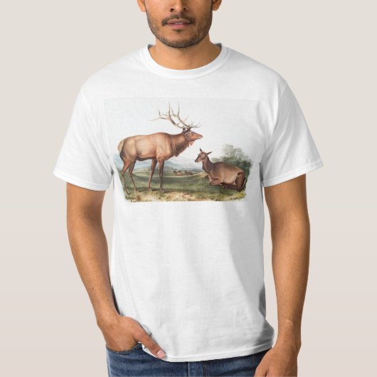 アメリカンエルクイラストレーション Tシャツ (正面)