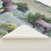 アメリカンエルク |コロラド シェルパブランケット (3/4)