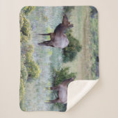 アメリカンエルク |コロラド シェルパブランケット (正面)