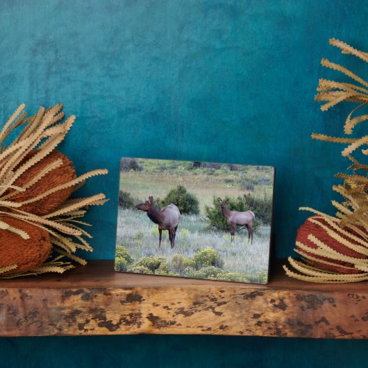 アメリカンエルク |コロラド フォトプラーク (側面)