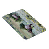 アメリカンエルク |コロラド マグネット (右側)