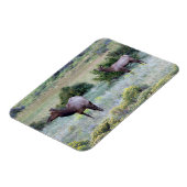 アメリカンエルク |コロラド マグネット (左側)