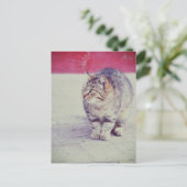 アメリカンカールキャットヴェネツィアイタリアヨーロッパ ポストカード (スタンド正面)