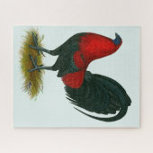 アメリカンガメコック:ブラウンレッド ジグソーパズル (横)